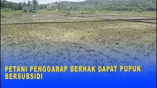 Tenant Farmers Have the Right to Subsidized Fertilizer