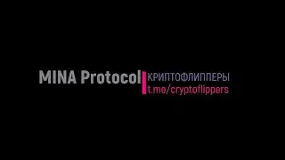 Mina. Full Guide (RU). Все, что вам необходимо знать о блокчейне Mina. Ч.2
