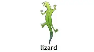 How to Pronounce Lizard in British English