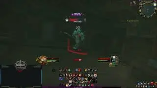 WOW HC Classic - Tidal charm Lv40 Rogue