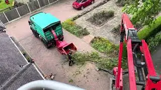 Ash tree removal using MEWP and Unimog 400 tp 200 wood chipper