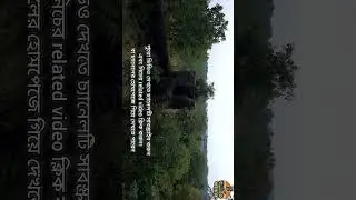 ancient tower #naturelovers #indianexplorers #offbeatplace #historical