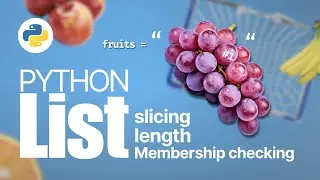 Python Lists For Beginners Visually Explained