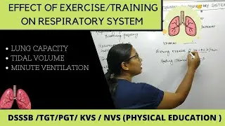 EFFECT OF EXERCISE/TRAINING ON RESPIRATORY SYSTEM || B.P.ED || M.P.ED || PHYSICAL EDUCATION
