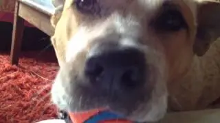 Eddie's Doin' All Right