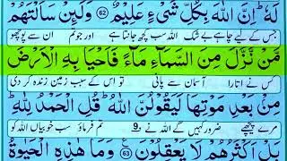 Quran recitation para 21 Full ! with Urdu translation by Al shaikh irfanul Saif 