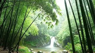 Bamboo Forest Rain & Waterfall 🌿 Relaxing Piano Music for Deep Calm
