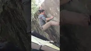 Die Sch&ouml;ne 6b, Magic Wood