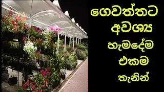 ගෙවත්තට අවශ්‍ය හැම දේම එකම තැනින් දියත උයන