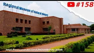 Regional Museum of Natural History