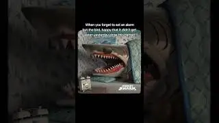 The birds are real 🐦 #hungryshark #tiktok #memes #fyp