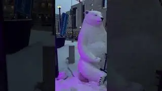 Toronto New year 2025 #happynewyear #torontolife #snow #snowskating #canadadiaries #canada #reels