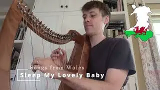 Sleep My Lovely Baby | Welsh Song | Celtic Folk Harp