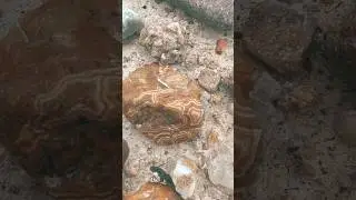 Fairburn Agate Railroad Buttes #fairburn #agate #rock #rockhounding