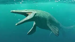 Dinosaur sighthings caught on camera