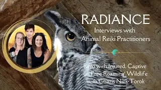 Reiki with Injured, Captive & Free Roaming Wildlife with Charis Nick-Torok