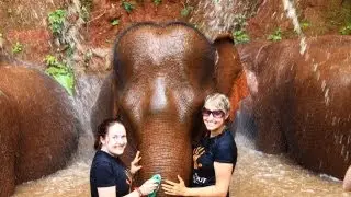 Elephant sanctuary and help build homes for families living in extreme poverty