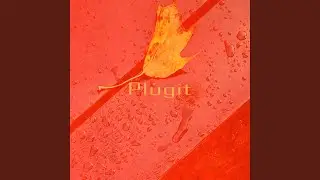 Plugit