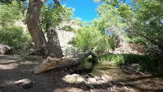 Nevada: Peavine Canyon