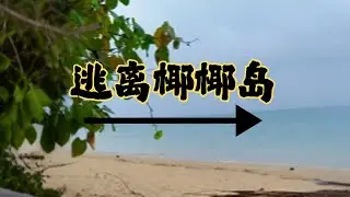 逃离椰椰岛！荒岛野外生存大挑战，奔跑穿越丛林绝境，这场冒险太刺激 #野外生存 #跑步治愈一切 #冒险