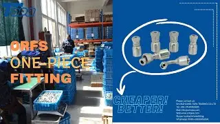 ORFS hydraulic one-piece fitting｜Premium Quality ORFS hydraulic hose fitting