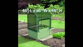 Bug-Free Outdoor Retreat: Savana's Ultimate Garden Protector!