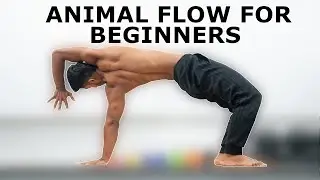 Animal Flow for Beginners | Movement | Flow Tutorial