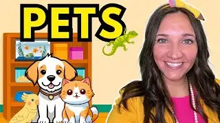 Pet Store Visit for Kids | Learn About Animals | Best Preschool Learning Videos Animal Compilation
