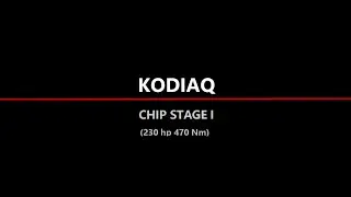 Skoda Kodiaq 2.0 TDI 4x4 (230 hp 470 Nm) Launch Control acceleration
