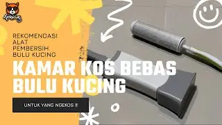 CARA MEMBERSIHKAN BULU KUCING