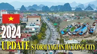 View Picture after the devastating typhoon Yagi hit Ha Long City  | Storm Yagi in Vietnam