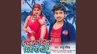 Saiya Gin Gin Ke Mare (Bhojpuri)