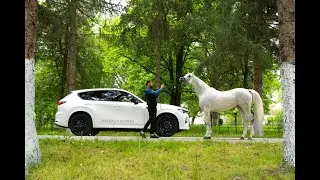 Ден на Арабския кон в България  издание 2023, 12 май в конезавод „Кабиюк“