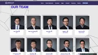 Merculet краткий обзор ICO