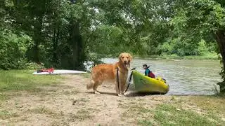 Grand River SUP and Kayak Rafting with Heidi - Paris to Brant Park route