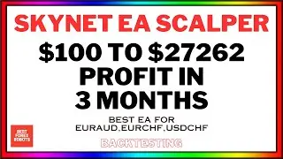 Skynet EA Scalper MT4 Forex Robot $100 To $27262 Profit In 3 Months | Best forex robots