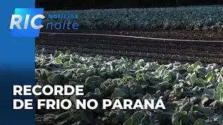 Inverno no Paran&aacute;: mais de 20 cidades tiveram recorde de frio; geada prejudicou planta&ccedil;&otilde;es