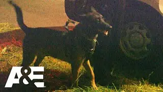 K9 Called in to Find Armed Carjacking Suspects | Nightwatch | A&E
