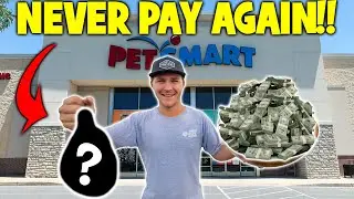 How To Get UNLIMITED FISH FOOD for FREE!! (Ghost Shrimp Breeding)