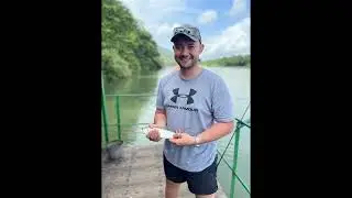 Tiger Fishing at Komati Poort (Taurus Tiger Fishing)