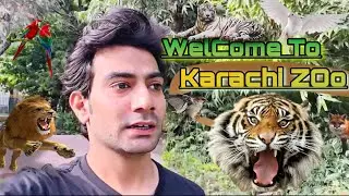 Karachi zOo Unique Animals 🦝🐘🐆🦘 || karachi Garden zOo