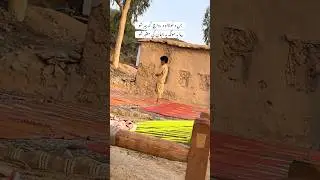 Pashto Poetry | #pashtosongs #duet #pashtopoetry #mdk #mdkyousafzai #trending