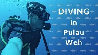 DIVING in Pulau Weh