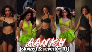 AANKH (Slowed /reverb xD.J)|Sunidhi Chauhan, Rusha & Blizza#trending