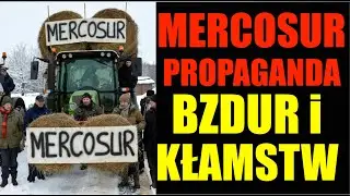 Propaganda strachu kontra fakty: MERCOSUR daje UE więcej zysk&oacute;w niż realnych strat