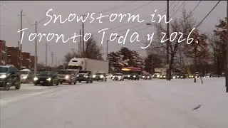 Снежная буря сегодня в Торонто и окрестностях в 2026 году. // Сильная снегопад в Торонто. #shamsh...