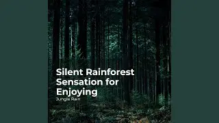 Lush Jungle Ambience