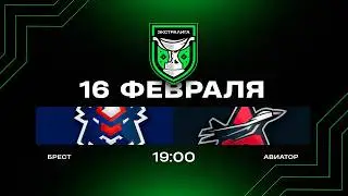 Брест - Авиатор | 16.02.2026 | Экстралига | Прямая трансляция