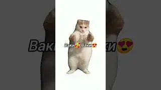 ВАКИ  ВАКИ БУМ💥 БУМ 💥 СОБАКИ 🐶 #мем #жиза #анимация #шура #котики #смех #2024