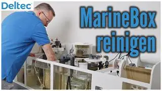So reinigst du die Deltec MarineBox richtig | Deltec